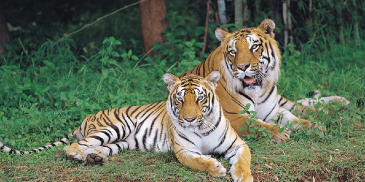 Wonderla Amusement Park